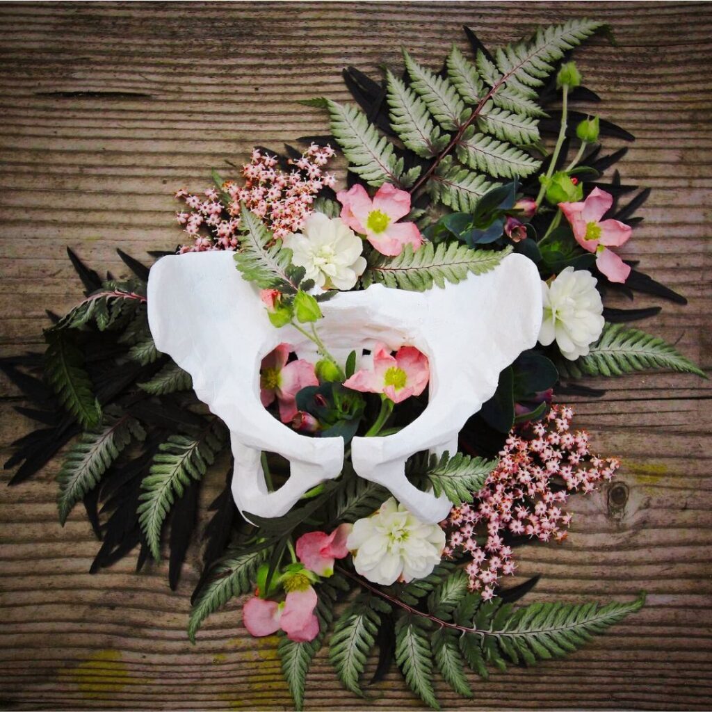 Pelvic floor anatomy illustration with flowers